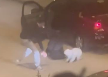 Kadını ve köpeğini darbederek kaçırmaya çalıştı; mahalleli kurtardı