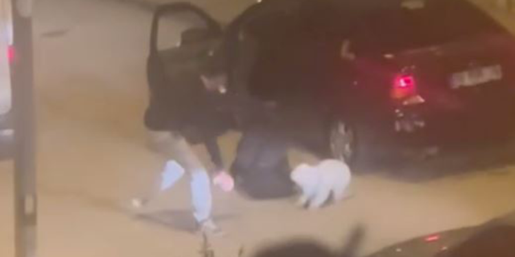 Kadını ve köpeğini darbederek kaçırmaya çalıştı; mahalleli kurtardı