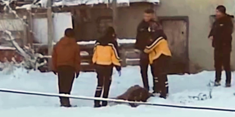 Karla kaplı arazide ölü bulundu