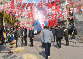 MHP Lideri Bahçeli için Cudi Dağı eteklerinde kurban kestiler