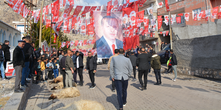 MHP Lideri Bahçeli için Cudi Dağı eteklerinde kurban kestiler
