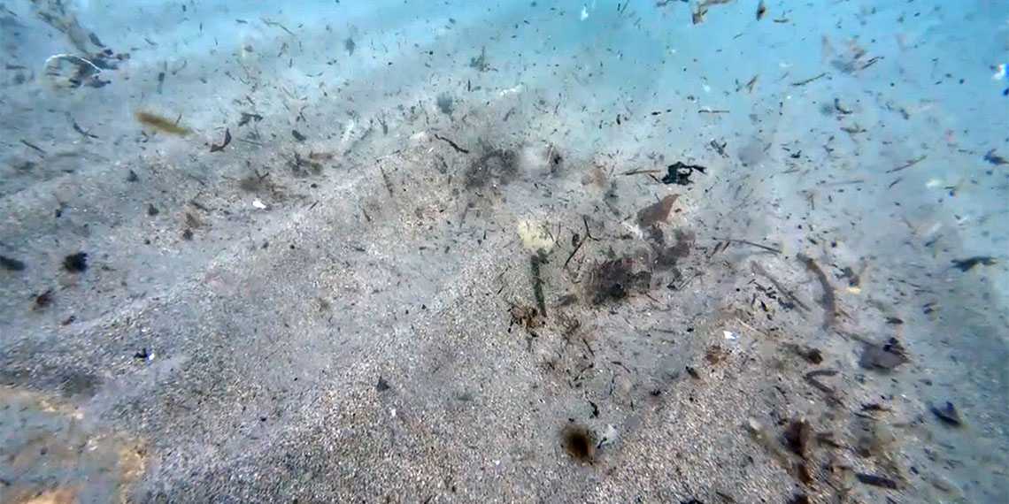 Akdeniz Üniversitesi'nden Prof. Dr. Mehmet Gökoğlu, "Deniz tabanındaki mikroplastikler deniz ekosistemini tehdit ediyor. Tüketilen deniz canlıları aracılığıyla da insanlara kadar ulaşıyor" dedi.