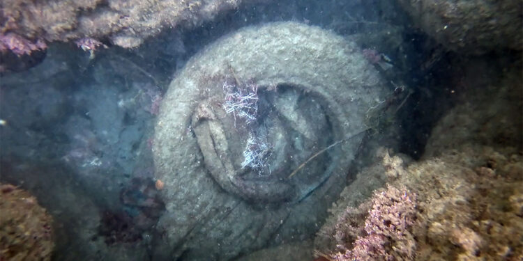 Mikroplastikler deniz ekosistemini tehdit ediyor