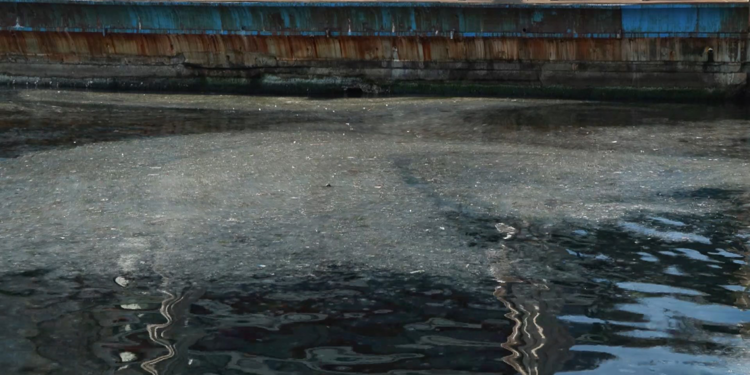 Marmara denizi alarm veriyor: Moda Sahili müsilajla kaplandı