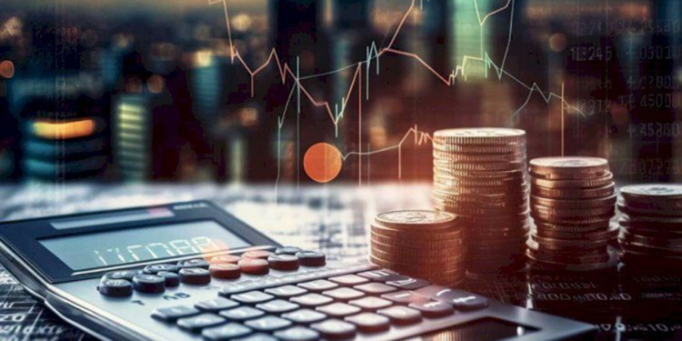 Ocakta en yüksek reel getiri sağlayan yatırım aracı DİBS oldu