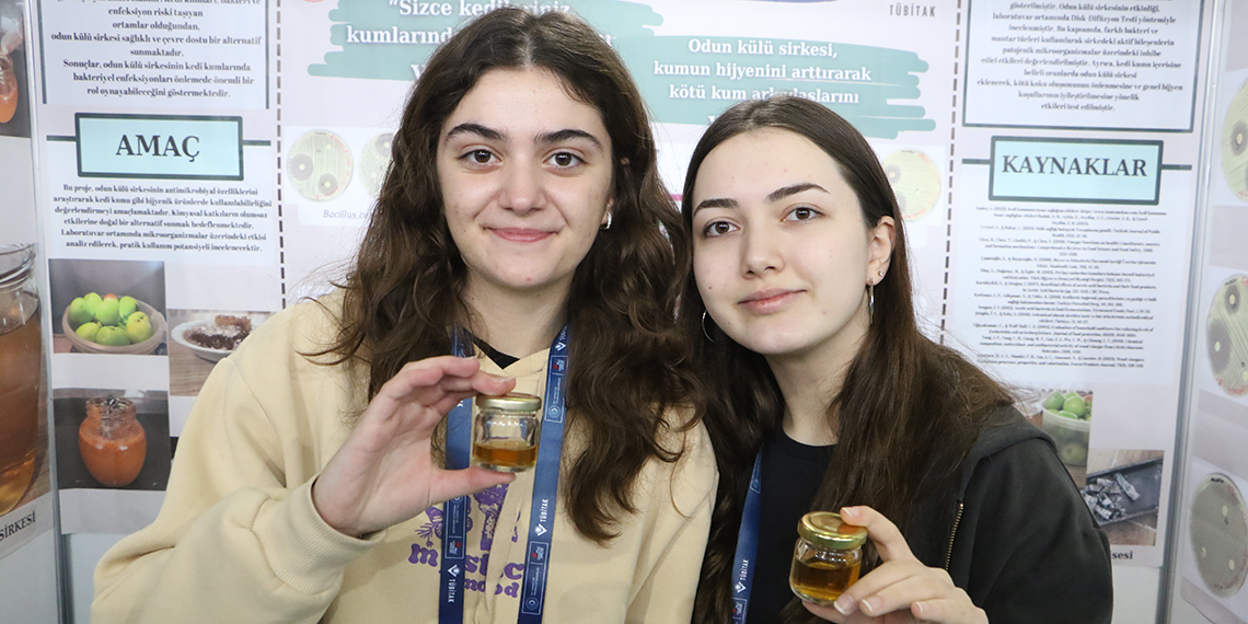 Odun külü sirkesiyle kedi kumuna doğal hijyen