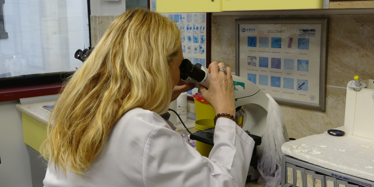 Prof. Dr. Sıla Akhan'dan uyarı: İnfluenza pik yaptı