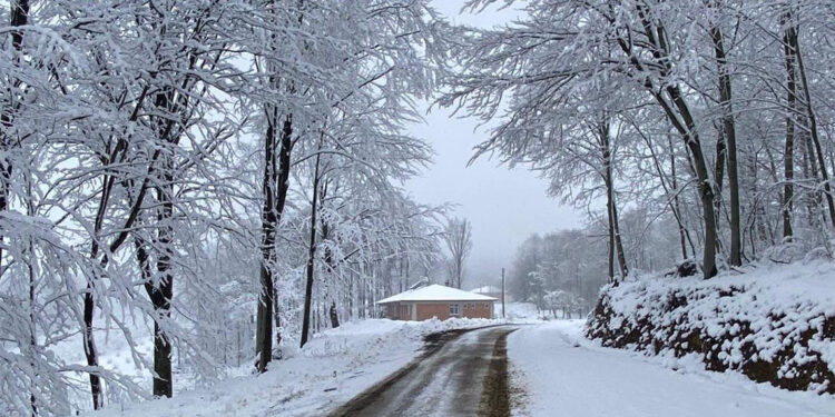 Bu illerde okullar tatil edildi