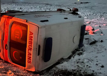 Şanlıurfa'da ambulans şarampole devrildi