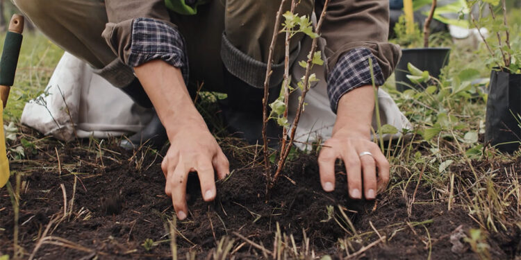 Şehir peyzajlarına bakanlık standardı geliyor