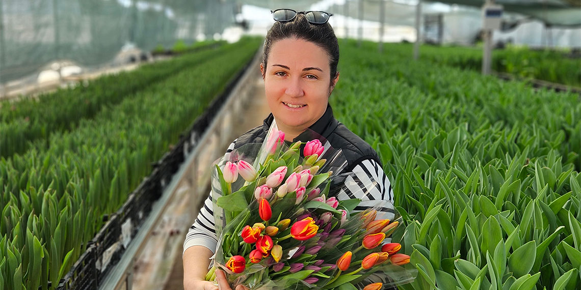 Türkiye'de kesme çiçek sektöründe en büyük üretim merkezi olan Antalya'da, topraksız tarım uygulamaları kapsamında suda 200 bin lale üretiliyor. Suda üretilen lalelerde en çok sarı renk talep ediliyor.