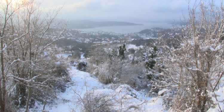 Sarıyer'de akşam yolda kaldılar; araçlarını sabah kurtardılar