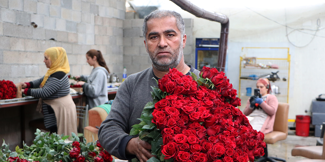 Sevgililer Günü gülleri için zorlu mesai