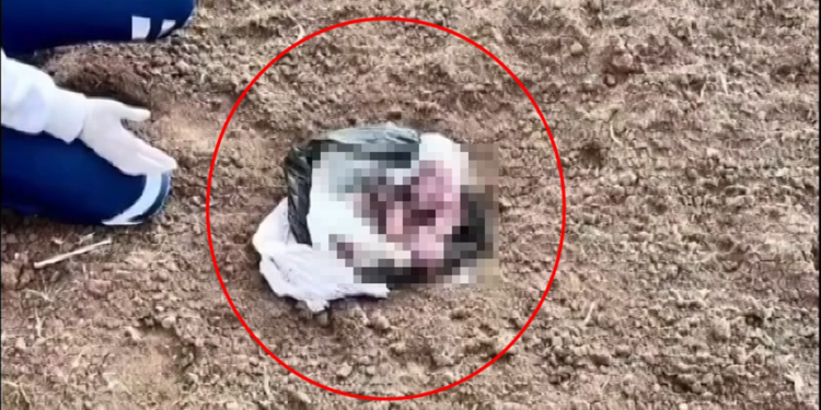 Şırnak'ta, poşet içerisinde yeni doğmuş kız bebek cesedi bulundu