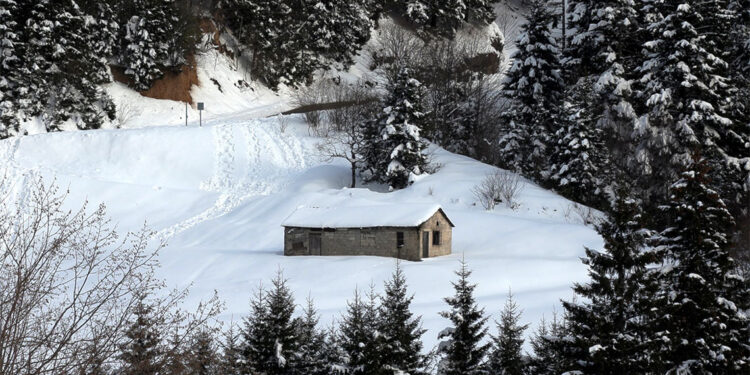 Zigana Dağı'nda kar güzelliği