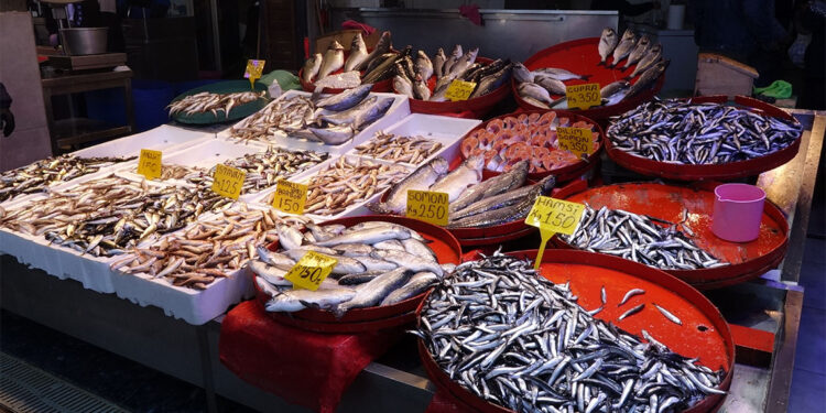 Palamut tezgahlardaki yerini diğer balık çeşitlerine bıraktı