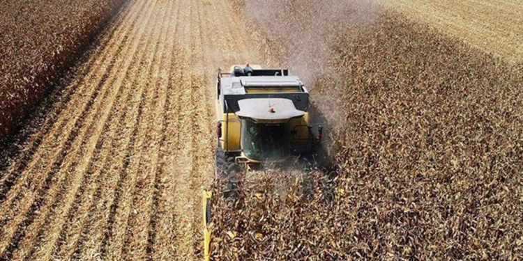 Tarım üretici fiyatları ocakta arttı