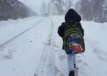 Tunceli'deki 3 ilçede okullara kar tatili