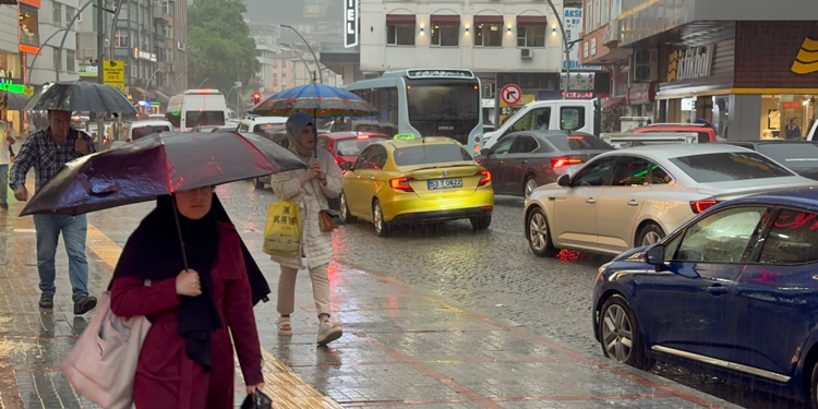 Türkiye'nin yağış şampiyonu Rize