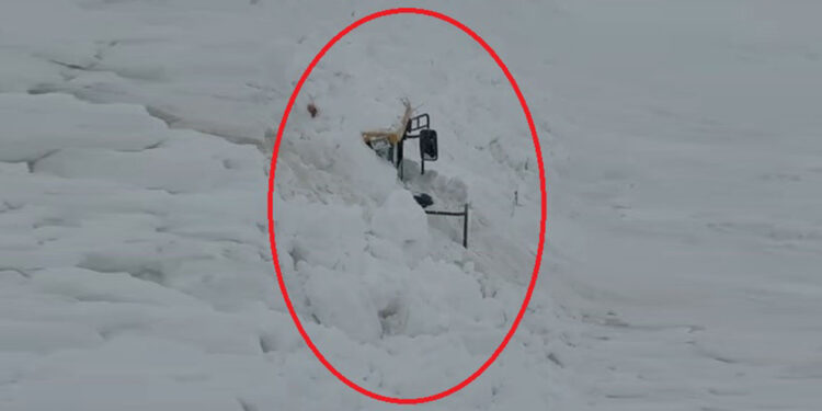 Uludere'de iş makinesinin üzerine çığ düştü