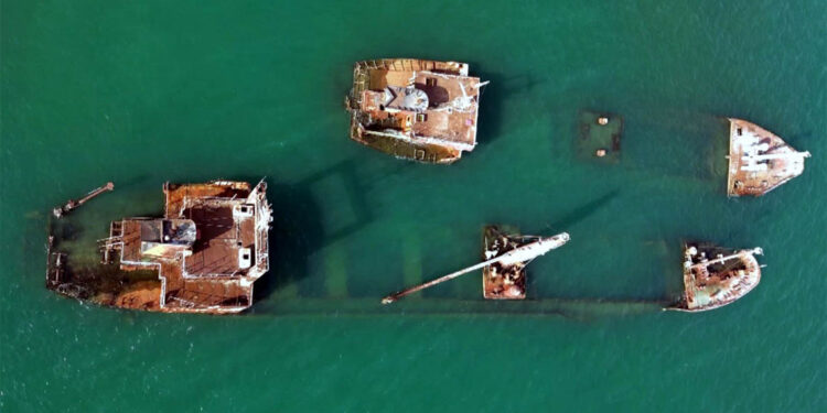 Batık gemiler deniz canlılarına yuva oluyor
