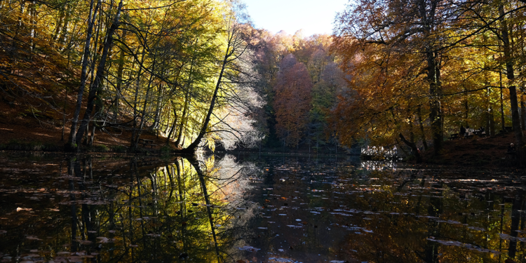 Yedigöller'in turizm aktivitelerine kapatılması gerekiyor