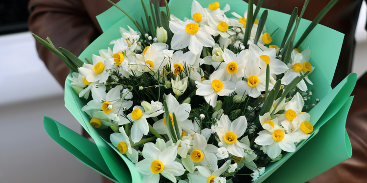 Zarafeti simgeleyen 'nergis' çiçeğinde son dönem