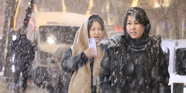 Van'da kar ve tipi etkili oldu