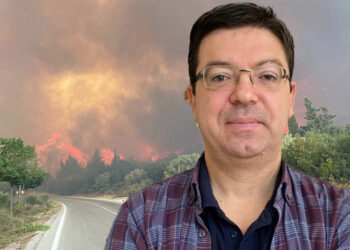 Gelibolu Yarımadası'nda çıkan yangının ekosisteme verdiği zarar araştırılacak