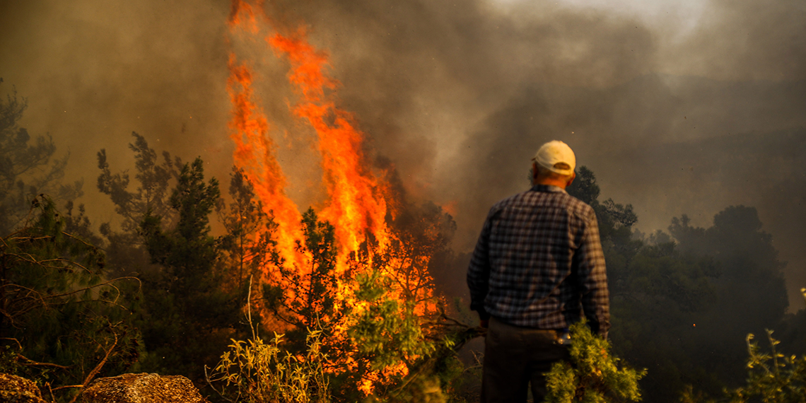 2024'te ihmal, dikkatsizlik, kasıt ve kazadan 1956 orman yangını çıktı