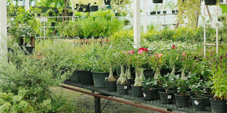 Peyzaj sektörü 'Süs Bitkileri ve Peyzaj Fuarı'nda bir araya gelecek