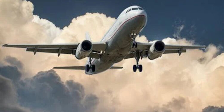 ABD'de kuş çarpan kargo uçağı acil iniş yaptı