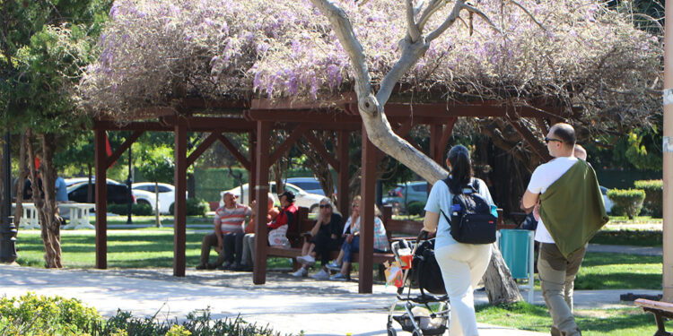 Termometreler 36 dereceyi gösterdi; bahar çiçekleri açtı