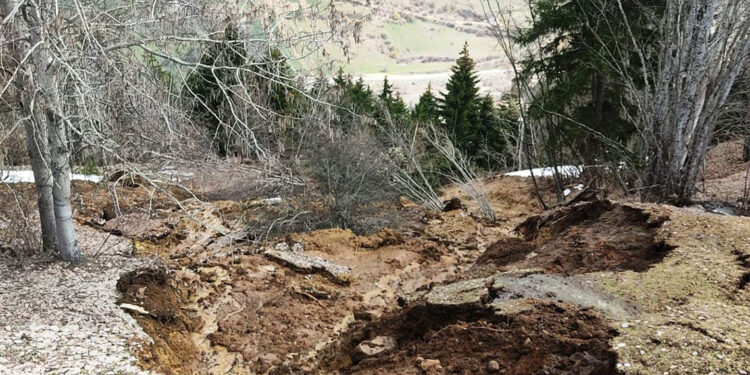 Artvin'de ormanda heyelan; ağaçların devrilme anı kamerada