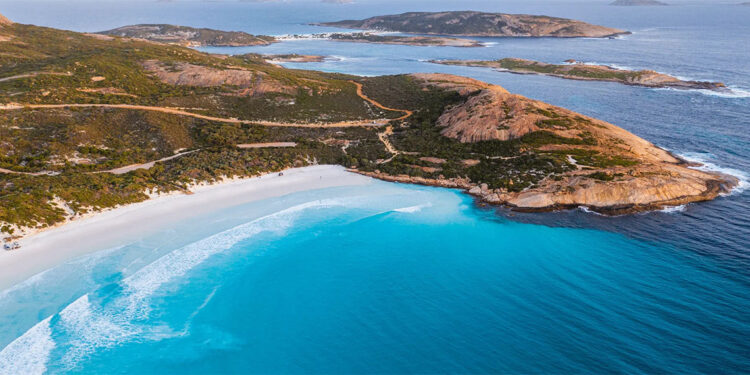 Köpek balığının saldırısına uğrayan sörfçü kayboldu