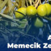 Aydın Memecik Zeytini coğrafi işaret aldı