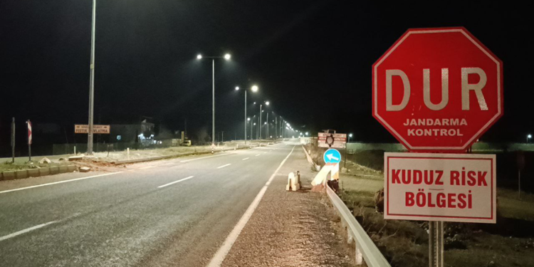 Adıyaman'da kuduz karantinası