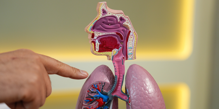 'Akciğer sönmesi' gençleri tehdit ediyor