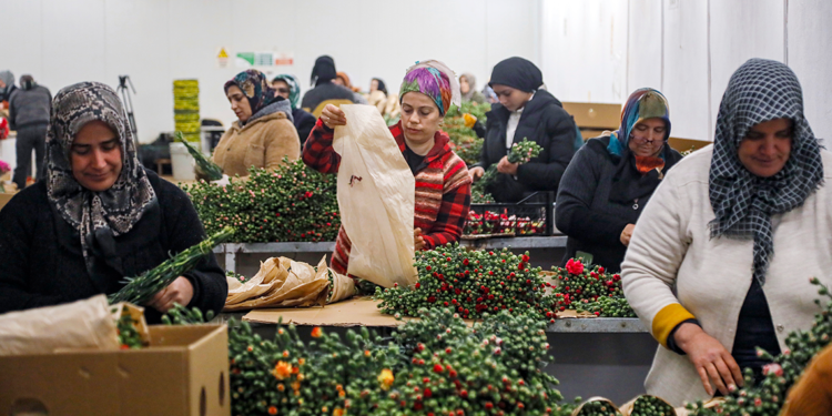 Avrupalı kadınların çiçeği Antalya'dan