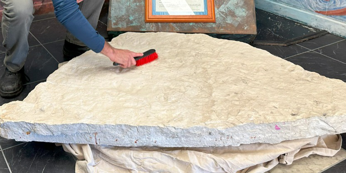 Avustralya'daki bir okulda 66 dinozor ayak izi keşfedildi