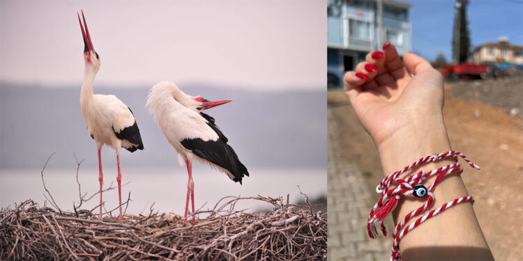 Baharın gelişinin simgesi artık 'Yareniçka'