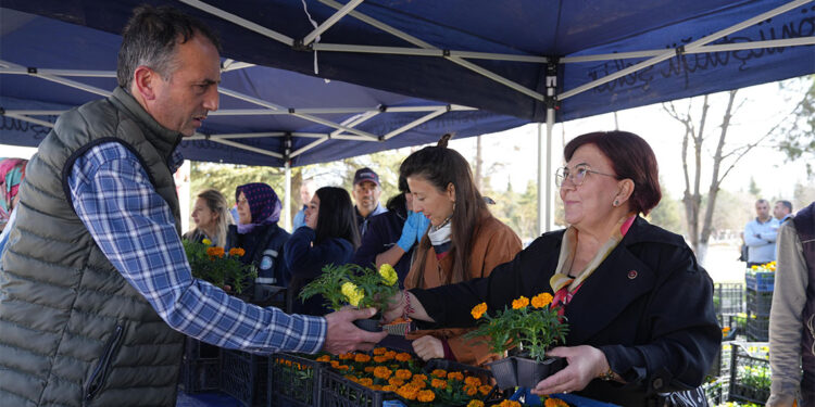 Eskişehir Büyükşehir Belediyesi, on binlerce çiçek dağıttı