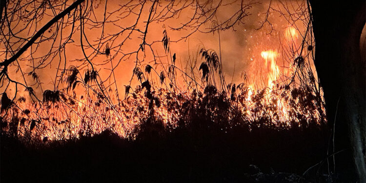 İznik Gölü kıyısındaki sazlık alanda yangın