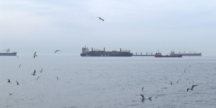 Bakırköy'de kargo gemisi karaya oturdu