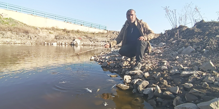 Balık ölümleri yaşanan Karasu Çayı'nda inceleme