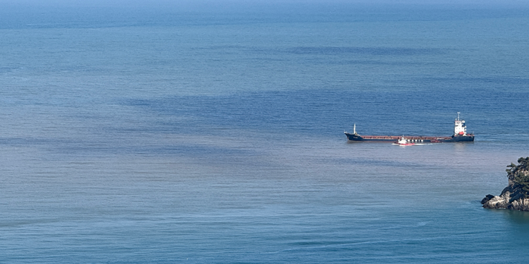 Bartın Irmağı'ndan akan çamurlu suyla denizin rengi değişti