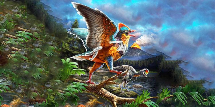 Bilim insanları en eski kuşlardan birini ortaya çıkardı