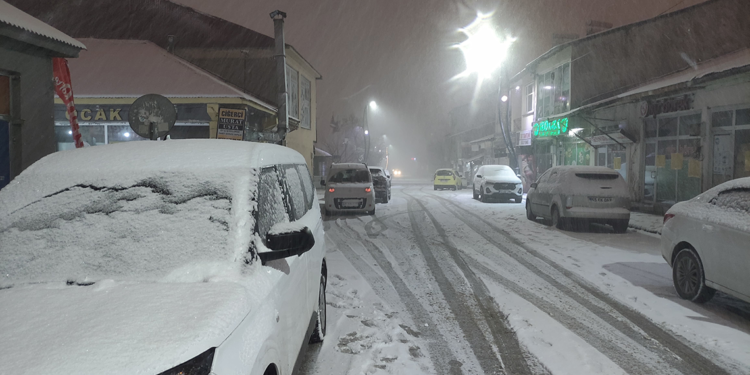 Bingöl Karlıova'da kar yağışı etkili oldu