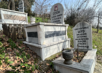 Bursa'da evcil hayvanlar için 2 bin 500 liraya özel mezar yeri