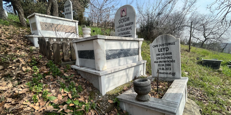 Bursa'da evcil hayvanlar için 2 bin 500 liraya özel mezar yeri